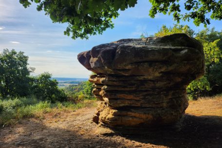 Sommerserie / Unsere Lieblingsorte (14): Der Champignon bei Nommern ist ein Geheimtipp