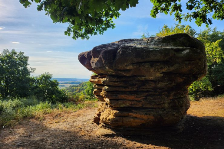 Sommerserie / Unsere Lieblingsorte (14): Der Champignon bei Nommern ist ein Geheimtipp
