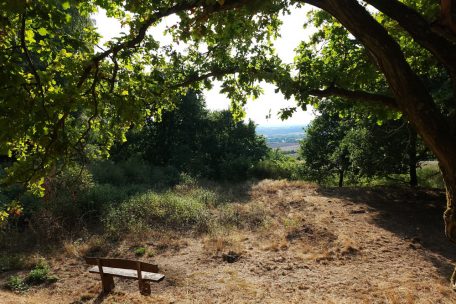 Gen Norden öffnet sich ein weiter Blick auf das Tal unterhalb des Areals