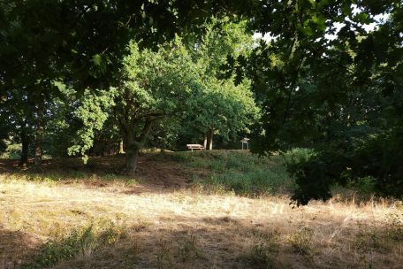 Für Erwachsene ist der Champignon eine Oase, für Kinder ein Abenteuerspielplatz