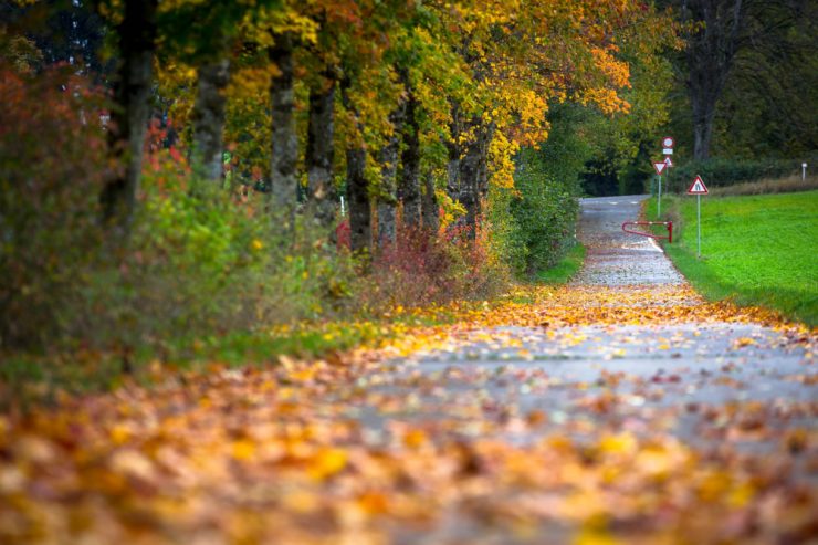 Von wegen „dunkle Jahreszeit“ / Acht Gründe, um den goldenen Herbst zu lieben