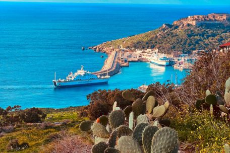 Blick auf Gozo