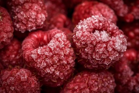 Wer die Himbeeren so ansehnlich im gefrorenen Zustand haben möchte, muss sie einzeln in die Tiefkühltruhe platzieren