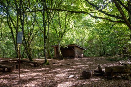 Schule bei Regen und Kälte / Auch für die Escher „Bësch-Klassen“ beginnt die Rentrée