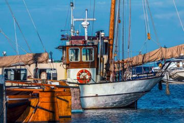 Niederlande / Viele historische Segelschiffe ohne Genehmigung unterwegs