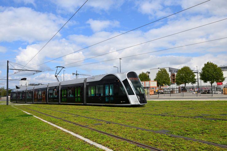 Forum / Pour un classement du Parc municipal sur la liste de protection de l’Unesco