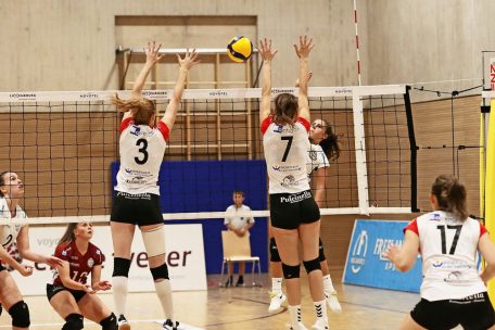 Volleyball / Erster Spieltag: Die Favoriten wollen durchstarten