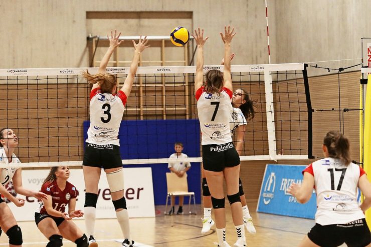Volleyball / Erster Spieltag: Die Favoriten wollen durchstarten