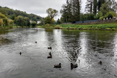 Luxemburg / „Weniger kritische Wasserstände“: Flüsse erholen sich von der sommerlichen Dürre