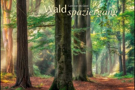 (4) Lars van de Goor<br />
„Waldspaziergang 2023“<br />
DuMont Kalenderverlag<br />
Grefrath 2022<br />
32,00 Eur