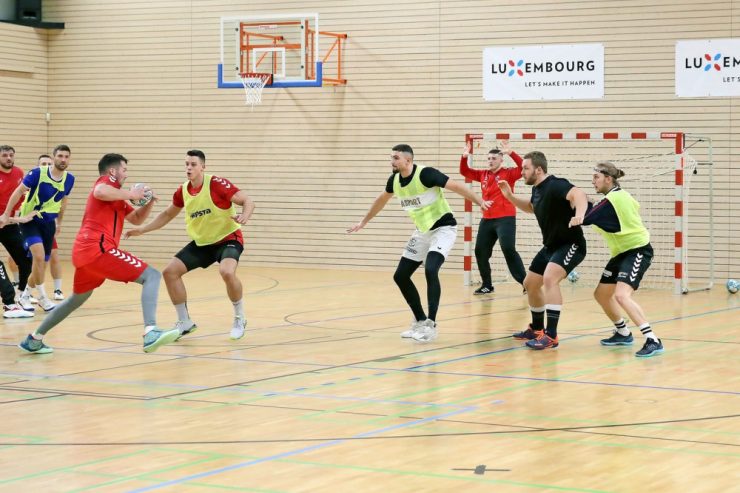 Handball / Premiere gegen die Großen: „Rote Löwen“ starten in die EM-Qualifikation