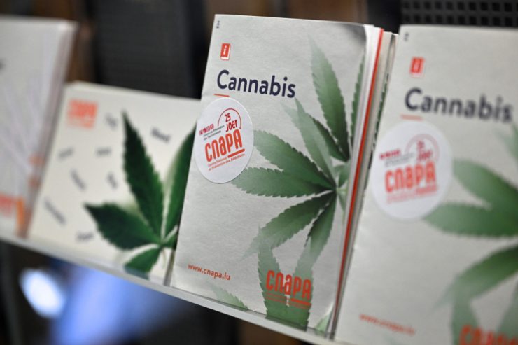 Cannabis / Kampagne „Méi informéiert ass manner riskéiert!“ will aufklären