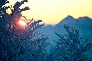 Prognose / Klima-Experte rechnet mit relativ warmem Winter in Europa