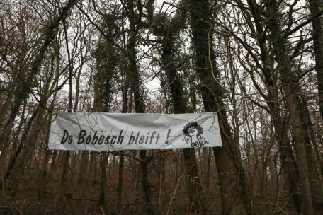 Bobi bleift / Das Gerangel rund um den „Contournement Bascharage/Sanem“ geht weiter