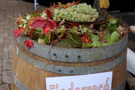 In Schengen hat der Hahn &uuml;berall seine Federn im Spiel
