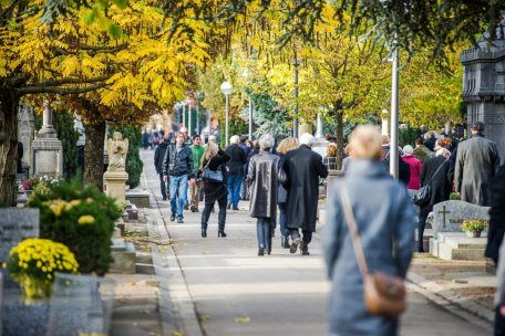 Esch zu Allerheiligen im Jahr 2016