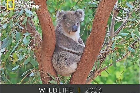 (4) „Wildlife 2023“<br />
National Geographic bei Athesia<br />
Unterhaching 2022<br />
17,99 Euro