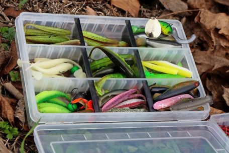 Zum Einsatz kommen nur Gummifische, keine lebenden K&ouml;der