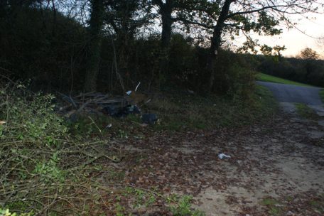 Deutschland / Leichenteile auf Parkplatz bei Temmels gefunden: Was inzwischen bekannt ist