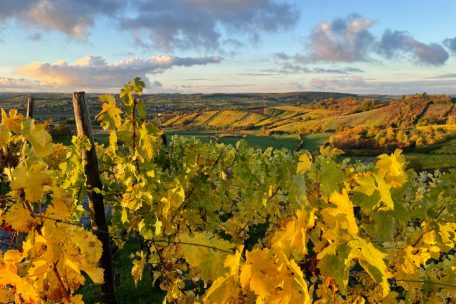 Warmer Herbst  / Meteolux verzeichnet Rekord-Oktober – Gasverbrauch deutlich unter Durchschnitt