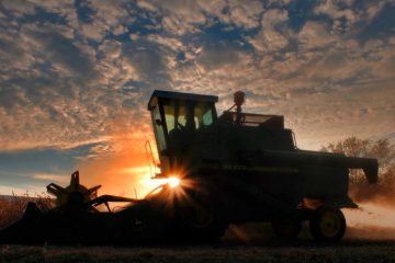 Welt-Ernährung / Russland und die Ukraine verlängern ihr Getreideabkommen um 120 Tage
