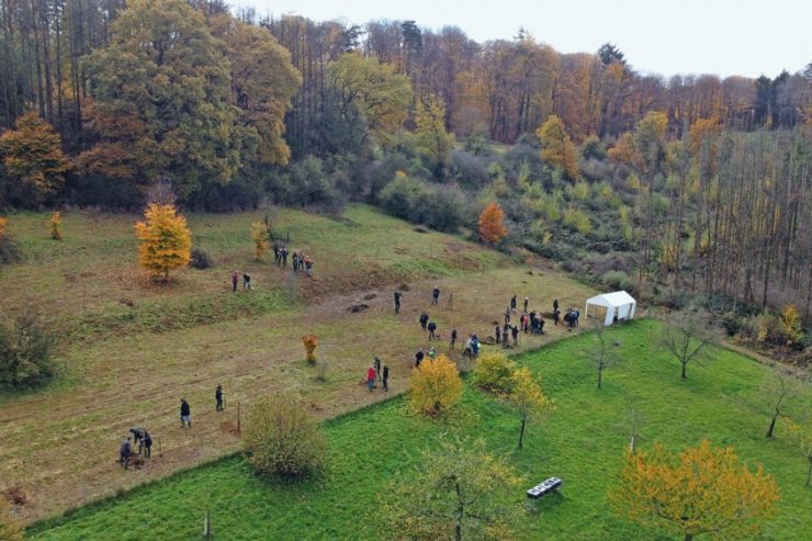 „Nationalen Dag vum Bam“ / Bäume für die Zukunft
