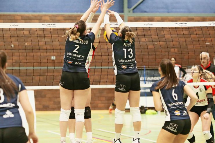 Volleyball-Challenge-Cup / Walferdingen will gegen österreichischen Meister über sich hinauswachsen