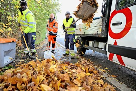 Laubentsorgung / Achtung Rutschgefahr – Gemeinden sorgen für mehr Sicherheit auf den Straßen