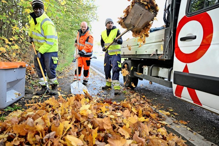 Laubentsorgung / Achtung Rutschgefahr – Gemeinden sorgen für mehr Sicherheit auf den Straßen