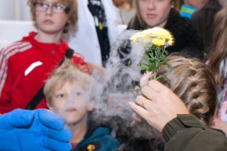 Blumen in Echtzeit wachsen sehen, diese Erfahrung ermöglichen themenbezogene Experimentierkasten