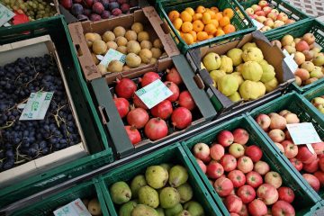 Kampagne / Mehr lokal, mehr Bio und weniger Verschwendung: Gemeinden als „starker Verbündeter“ für nachhaltige Ernährung
