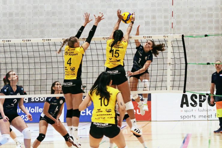 Volleyball / Walferdingen scheidet im Challenge Cup gegen Linz aus