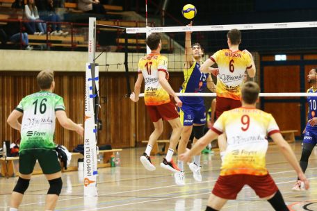 Novotel League / Revanche möglich oder nicht? Die Volleyballer starten in die Rückrunde