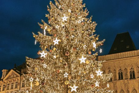 Die Hauptattraktion des Prager Weihnachtsmarktes ist der 25 Meter hohe Weihnachtsbaum, der mit rund 9.000 Meter Kabel und 90.000 LED-Lichtern ausgestattet ist