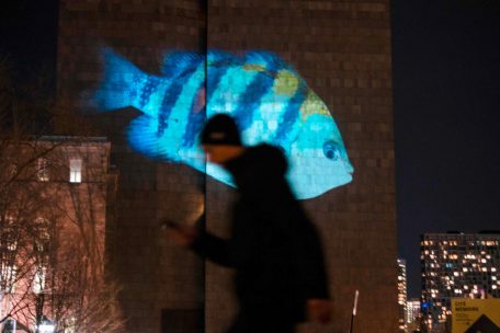 Kanada / Bei der UN-Biodiversitätskonferenz COP15 steht viel auf dem Spiel