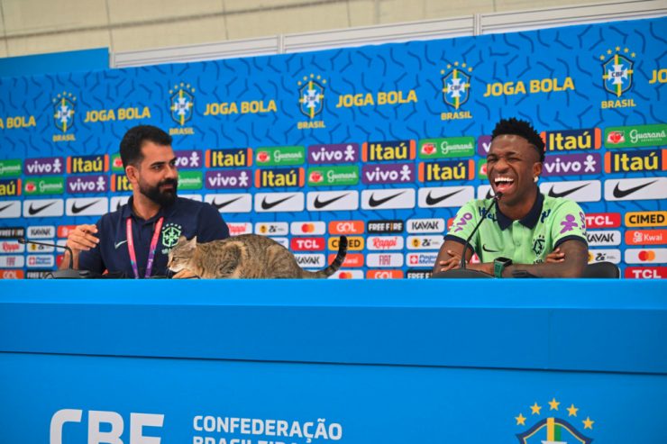 Tageblatt-WM-Kolumne / Was für ein Katzenjammer