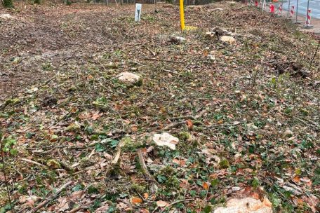 Sanem / Bürgerinitiative: „Kahlschlag im Bobësch und Zämerbësch ist pure Willkür“