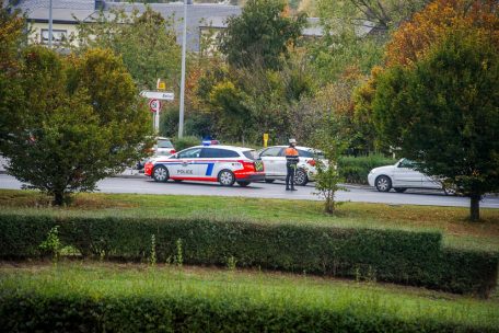 Polizei / Schwerer Verkehrsunfall mit Fußgänger am Kreisverkehr Raemerich