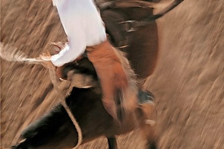 (1) Ernst Haas<br />
„The American West“,<br />
Prestel-Verlag,<br />
München 2022,<br />
208 S., 50,00 Euro