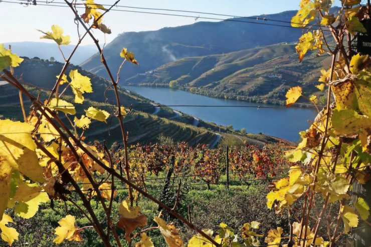 Reportage / Bem-vindo a Portugal: Eine Reise auf der Traumschleife Douro