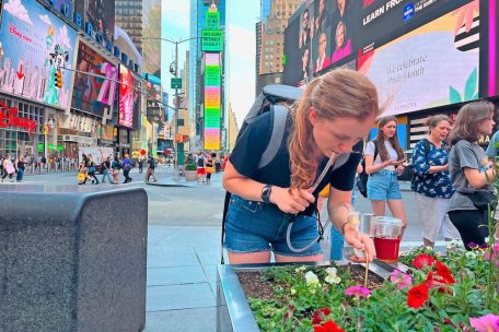 Projekt „ManhattANT“ / Europäische Ameisenart erobert New York