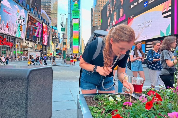 Projekt „ManhattANT“ / Europäische Ameisenart erobert New York