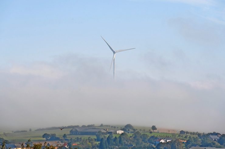 EU-Statistik / Letzter Platz: Luxemburg im Öko-Energie-Vergleich mal wieder ganz hinten 