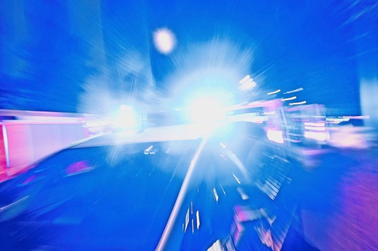 Park „Hummerland“ / Zu Tode misshandelter Hund in Tetingen gefunden – Polizei sucht Zeugen und Besitzer