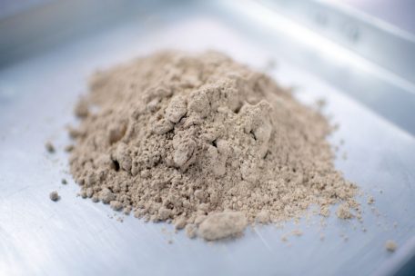 Grill-Teller, aber anders / Fragen und Antworten zu neuer EU-Regelung für Insekten in Lebensmitteln