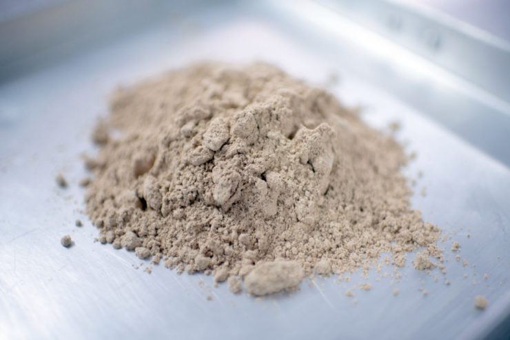 Grill-Teller, aber anders / Fragen und Antworten zu neuer EU-Regelung für Insekten in Lebensmitteln