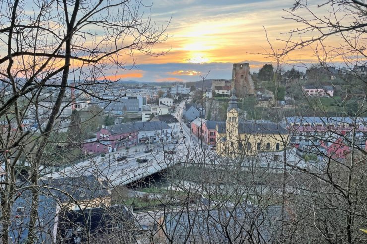 Finanzbetrug Hesperingen / Die Frage nach der Mitverantwortung der Gemeindepolitiker