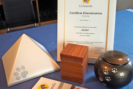 Urnen und Zertifikat von Cr&eacute;mando