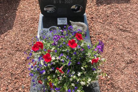 Ein Katzengrab im &bdquo;&bdquo;Le Paradis des Animaux&ldquo; in L&uuml;ttich