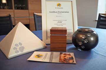 Escher Gemeinderat / Tierfriedhof: Machbarkeit soll geprüft werden 